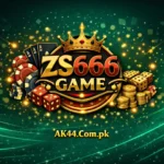 zs666 game